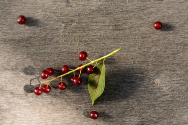 Similar image 8166948