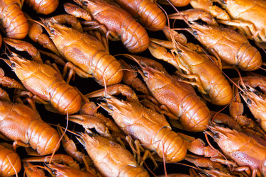 Similar image 8166970