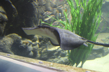 Similar image 8167000