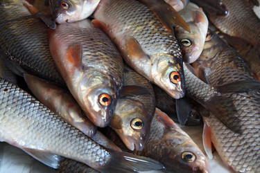 Similar image 8167029