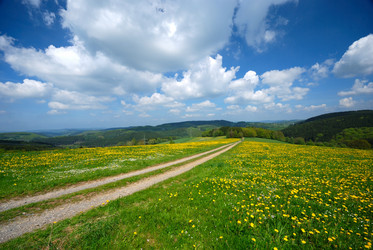 Similar image 8167039