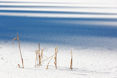 Similar image 8167075