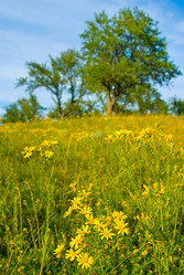 Similar image 8167085