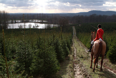 Similar image 8167243