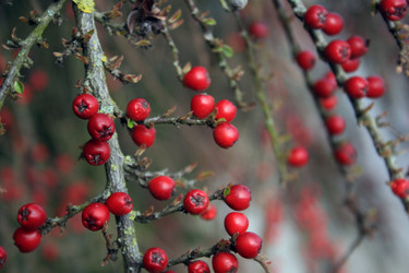 Similar image 8167262