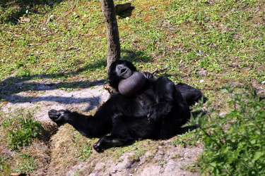 Similar image 8167263