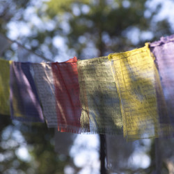 Similar image 8167277