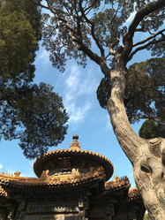 Similar image 8167297