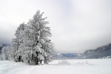 Similar image 8167300