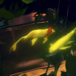 Similar image 8167331