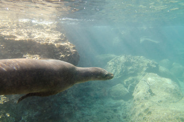 Similar image 8167336