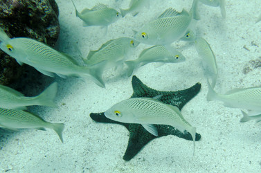 Similar image 8167337