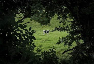 Similar image 8167340