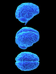 Similar image 8167349