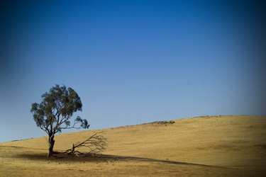 Similar image 8167363