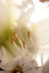 Similar image 8167366