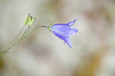 Similar image 8167367