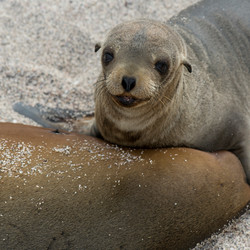 Similar image 8167371