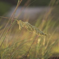 Similar image 8167376