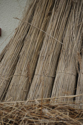 Similar image 8167380