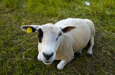 Similar image 8167382