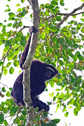 Similar image 8167383