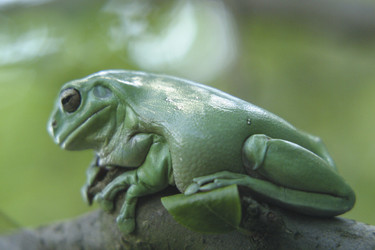 Similar image 8167386