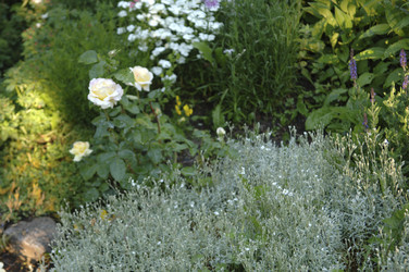 Similar image 8167409