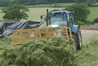 Similar image 8167410