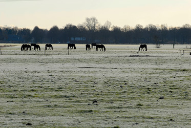 Similar image 8167412