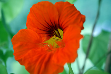 Similar image 8167414