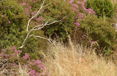 Similar image 8167419