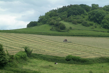 Similar image 8167434