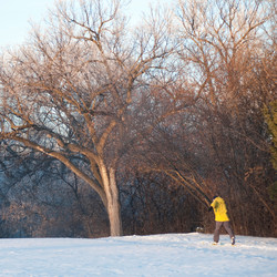 Similar image 8167461