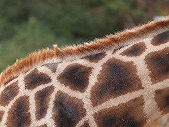 Similar image 8167463