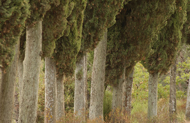 Similar image 8167473