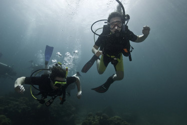 Similar image 8167474