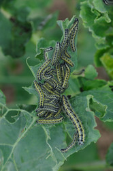 Similar image 8167476