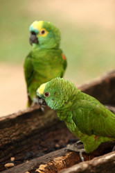 Similar image 8167480