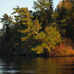 Similar image 8167484