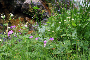 Similar image 8167485