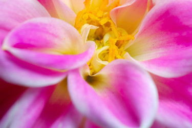 Similar image 8167495