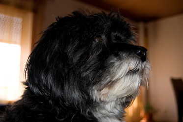 Similar image 8167497