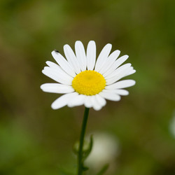 Similar image 8167512