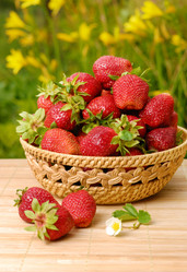 Similar image 8167518