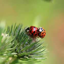 Similar image 8167526