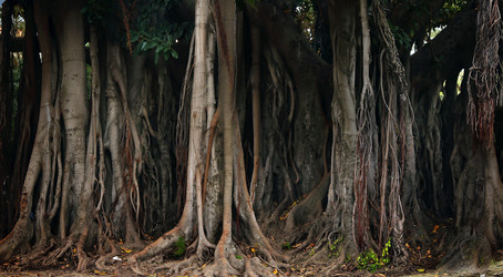 Similar image 8167530