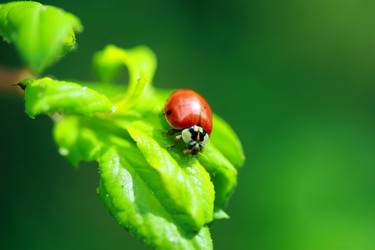 Similar image 8167531