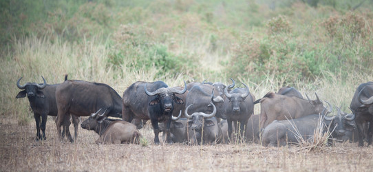 Similar image 8167535