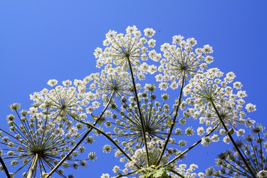 Similar image 8167550